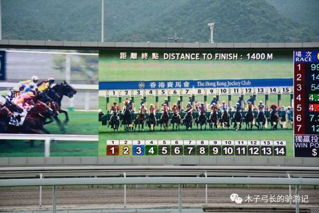 香港马会资料大全，赛马运动的魅力与全方位信息