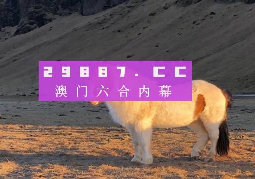 澳门特马今晚开奖49图片——探索与期待