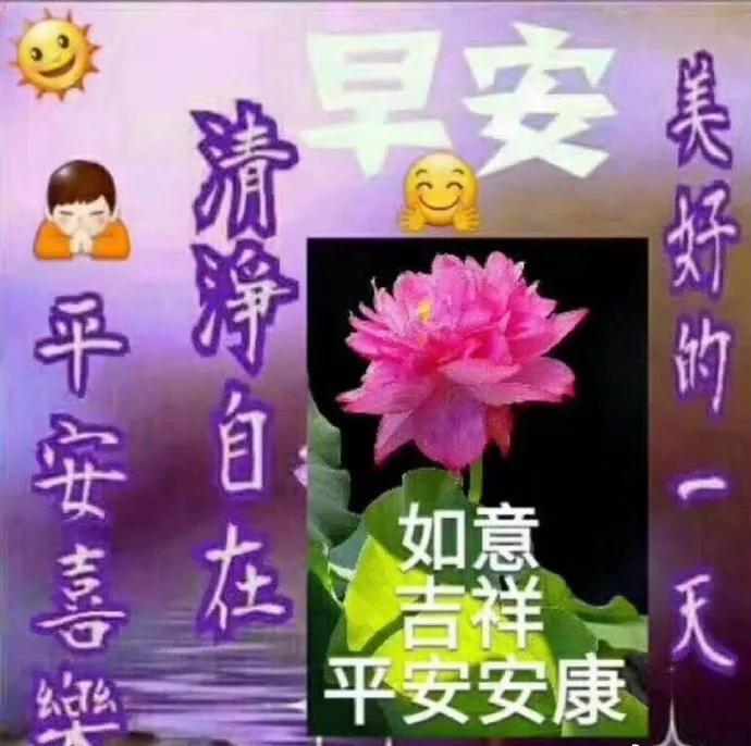 生活中的细微喜悦