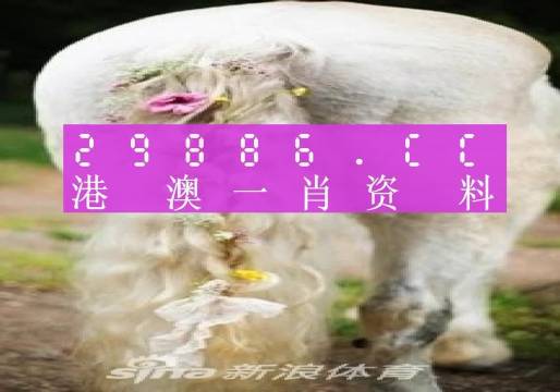 澳门2023精准一肖一码预测探索