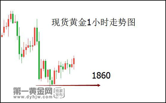 黄金会下跌吗，市场波动与未来展望