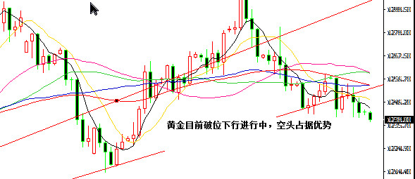 未来走势展望