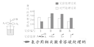 探究750金的价值与意义