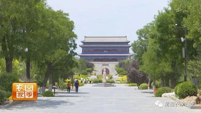 潼关黄金价格今日走势及市场分析