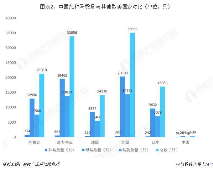 澳门赛马