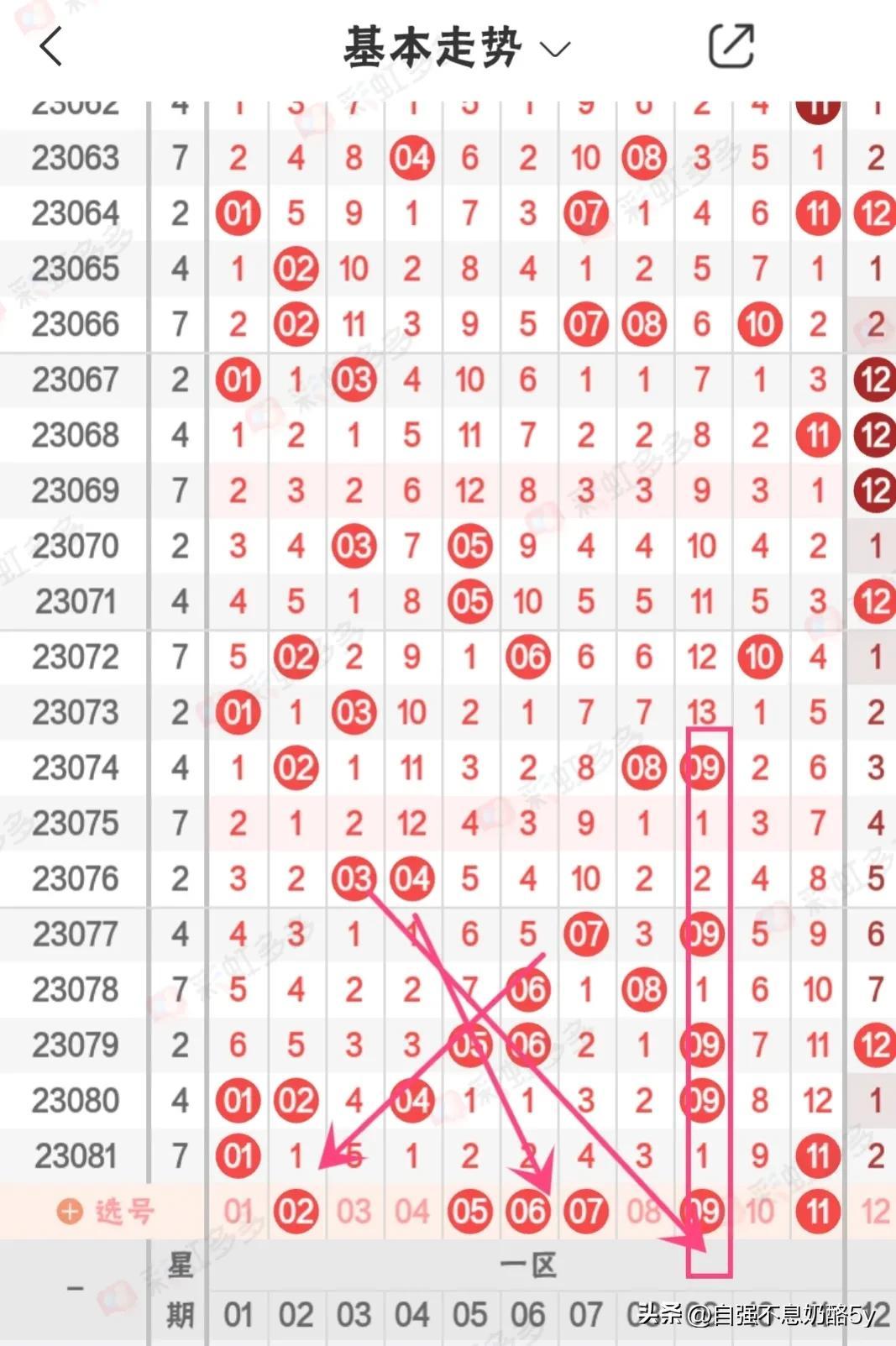 双色球开奖结果查询，今天的走势深度解析（第35期）