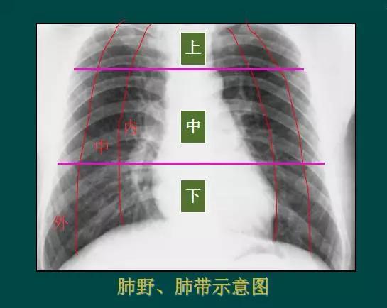 新浪排三开奖视频直播