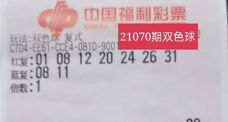 双色球体彩开奖号码2022070，揭秘幸运之门背后的秘密