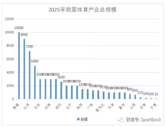 山东体育崛起