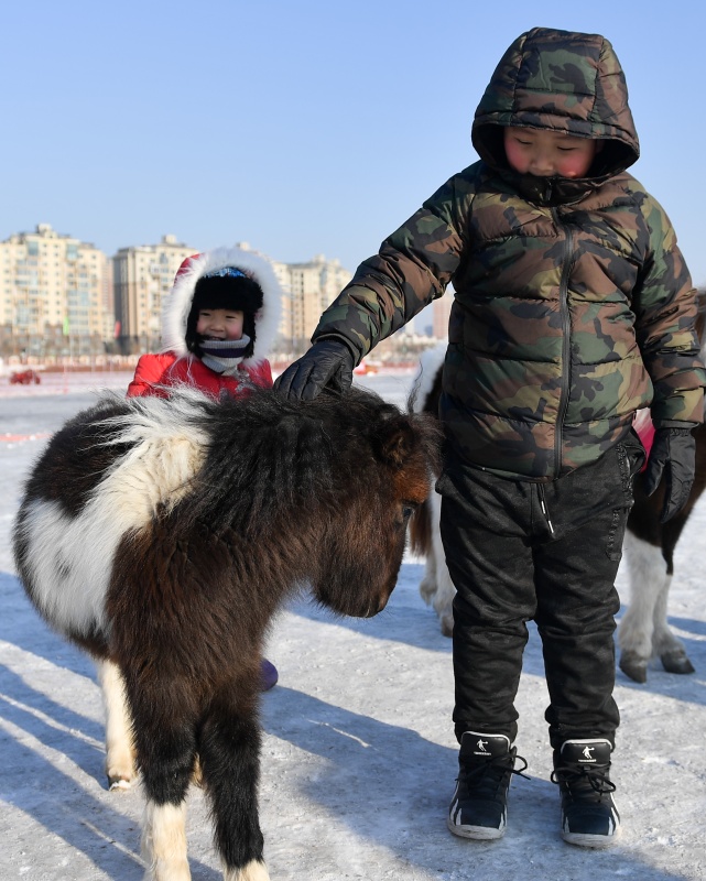 今天特马开什么生肖呢