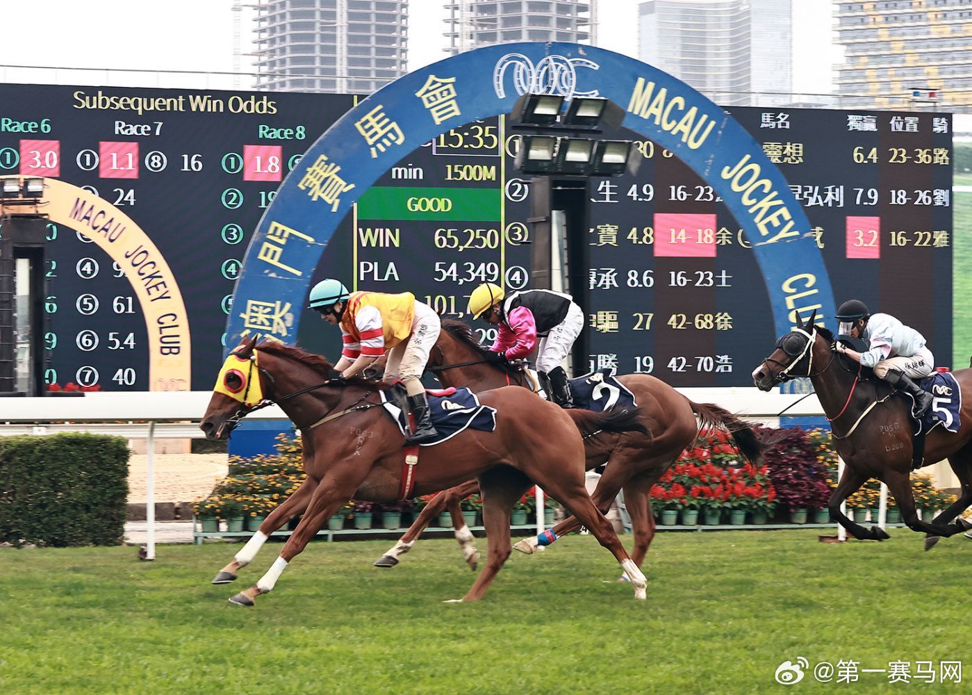 香港正版马会全年免费资料