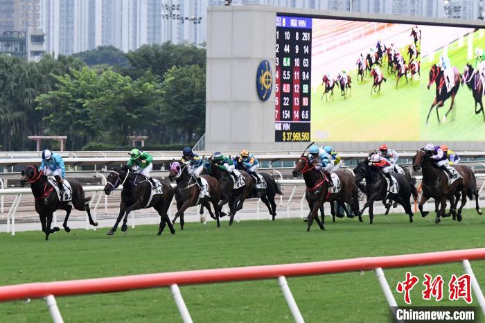 香港赛马会资料大全 2 料汇总