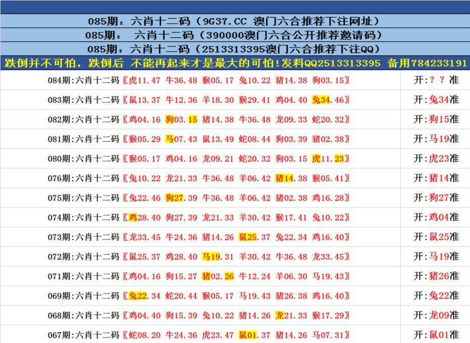 澳门六合开彩查询 2 最新结果