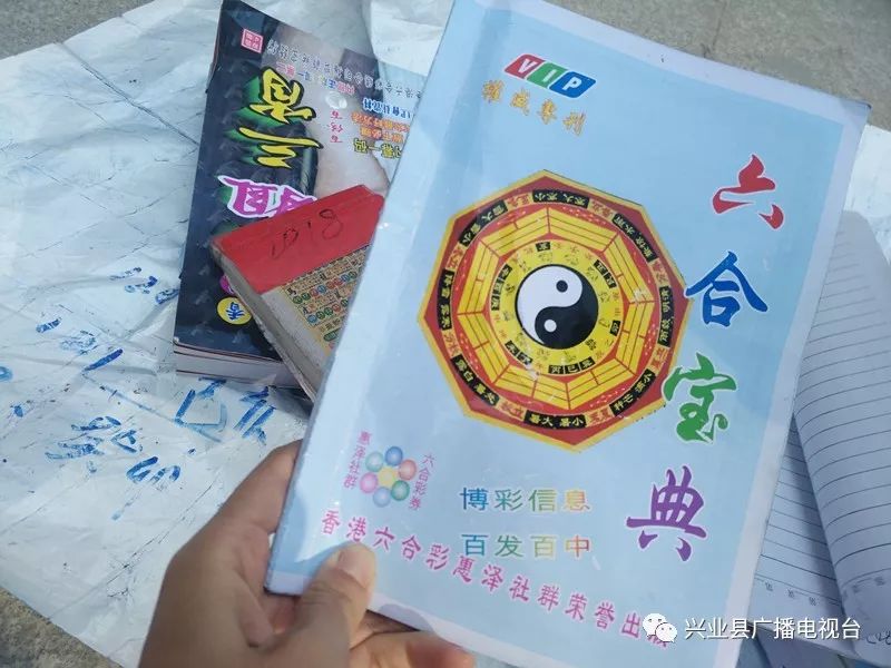 二四六宝典资料大全及解释