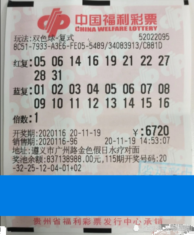 澳门彩票生肖开奖结果查询，探寻今日幸运之兽澳门311开奖记录