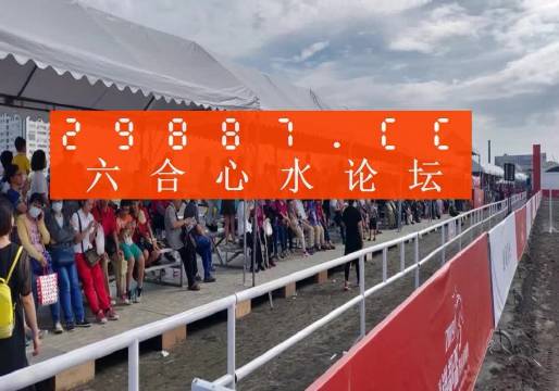 新澳门31l期最新消息视频大全，探索与揭秘新奥门311期最新消息视频大全播放