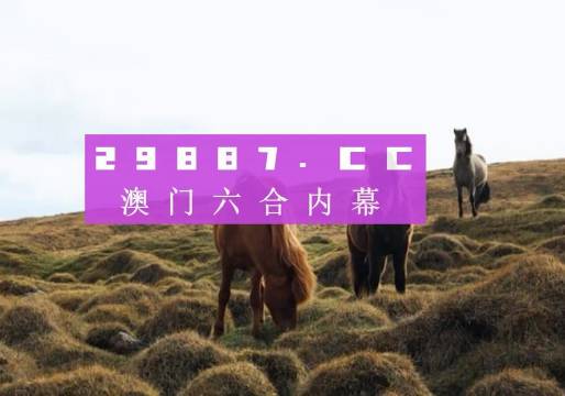 澳门新开奖结果查询，今晚的开奖情况一览新澳门开奖结果