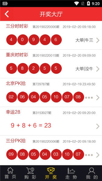 澳门新开奖结果查询，揭秘今天彩票号码的神秘面纱新澳门开奖结果2020+开奖记录_