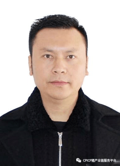 新奥门六和开奖结果20XX年第XXX期预测汇总分析与最新动态澳门6合和彩开奖号码