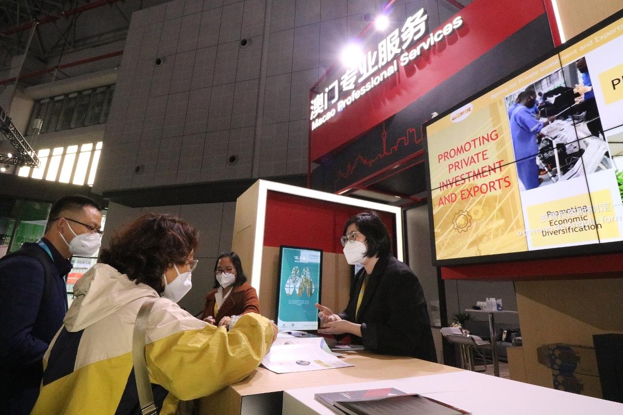澳门新开奖号码今晚查询表下载汇总，揭秘彩票背后的秘密与期待噢门六开彩开奖结果