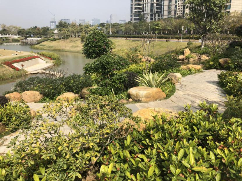 澳门新开奖号码预测与汇总，今晚第1期至未来可能的趋势分析（附表格）噢门六开彩开奖结果