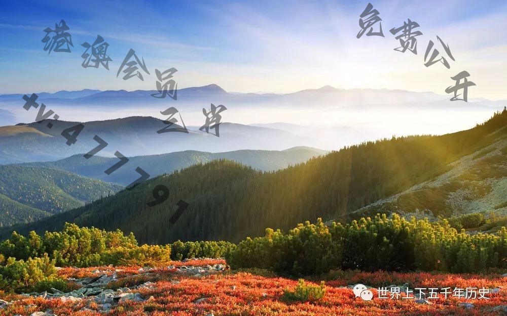新澳门开奖直播今天的结果揭晓，探索彩票世界的最新动态与魅力奥门开奖现场直播结果+开奖结果