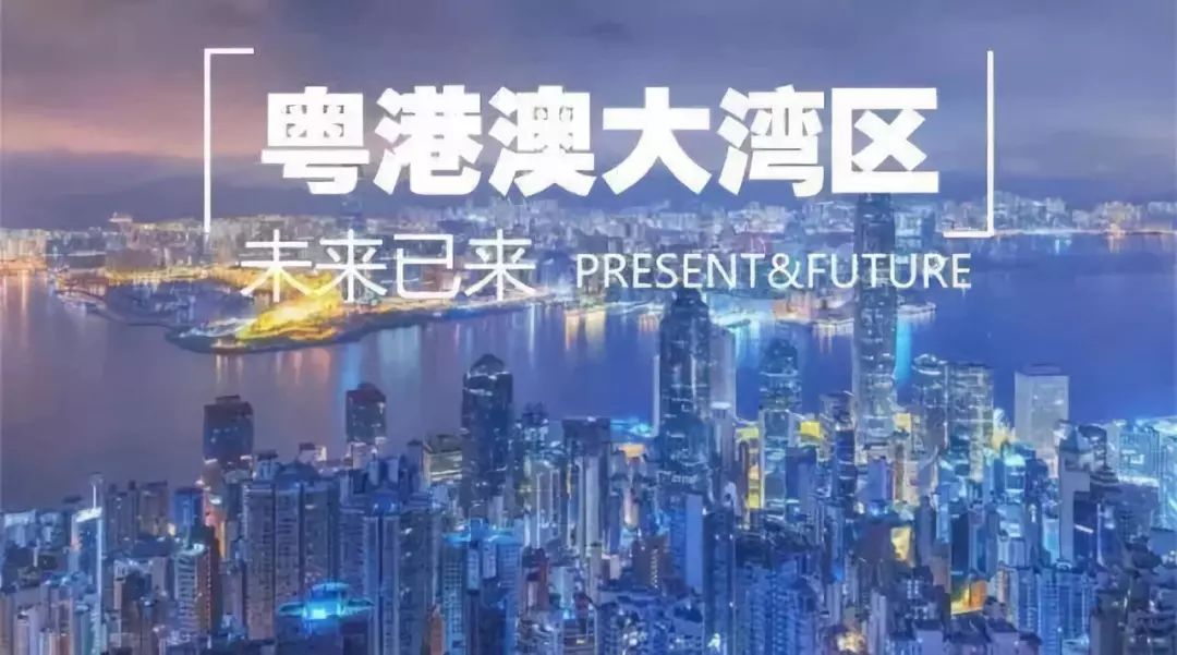 新澳门开奖直播观看指南，最新免费版下载与视频观赏渠道探索新奥门开奖直播在哪看啊视频最新免费版下载安装